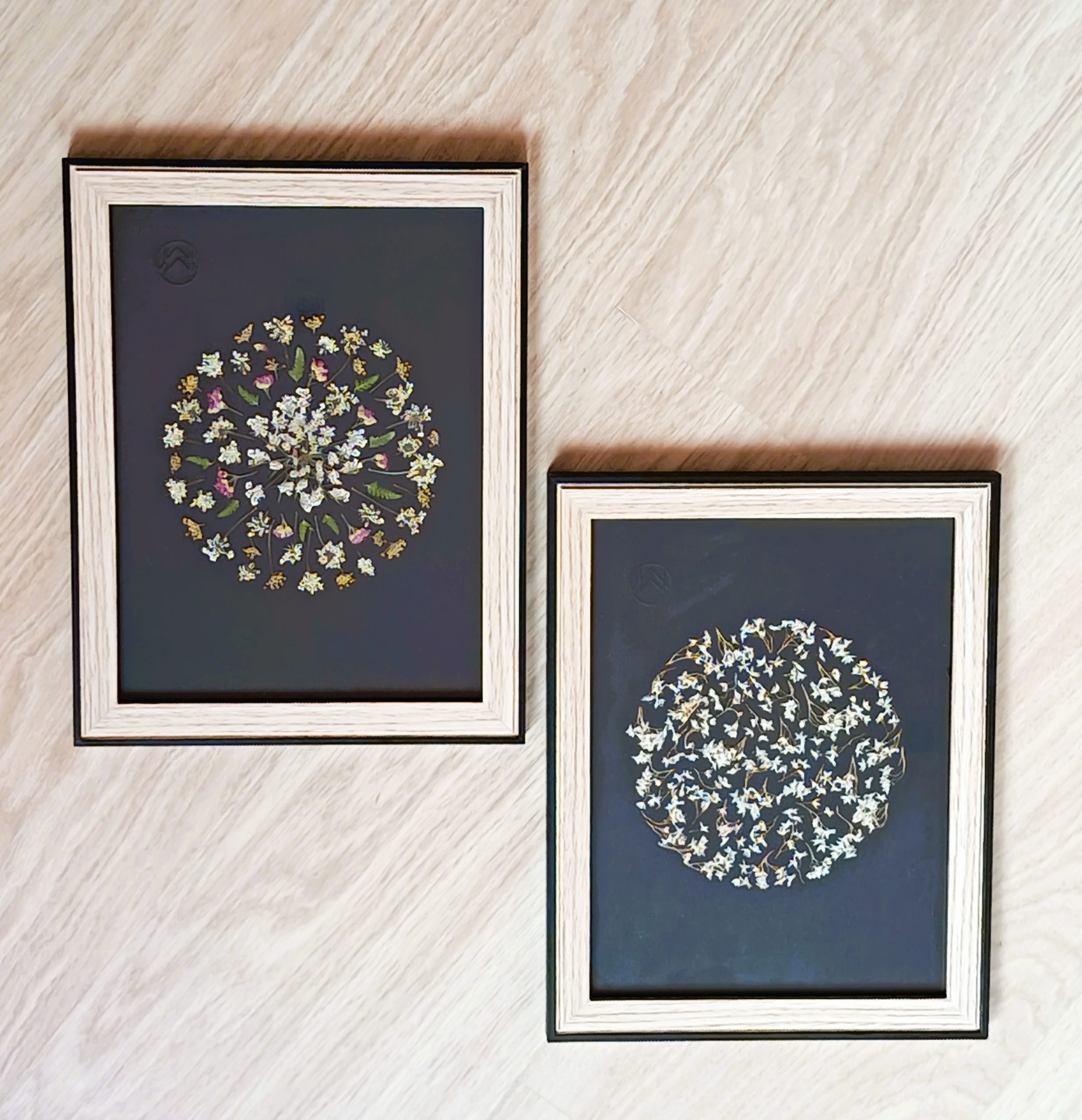 Cadre floral Mer' Veille - "Les Ombellifères" 2 Cadre floral Mer' Veille - "Les Ombellifères" – Image 2