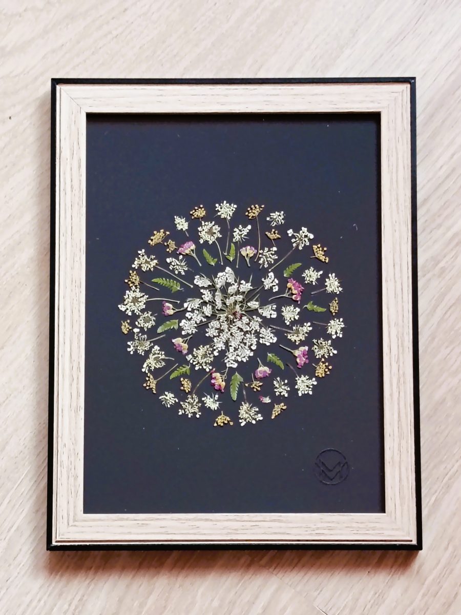 Cadre floral Mer' Veille - "Les Ombellifères"