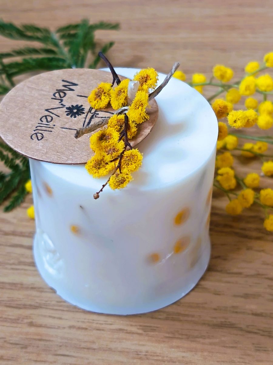 Mimosa| Brin de douceur