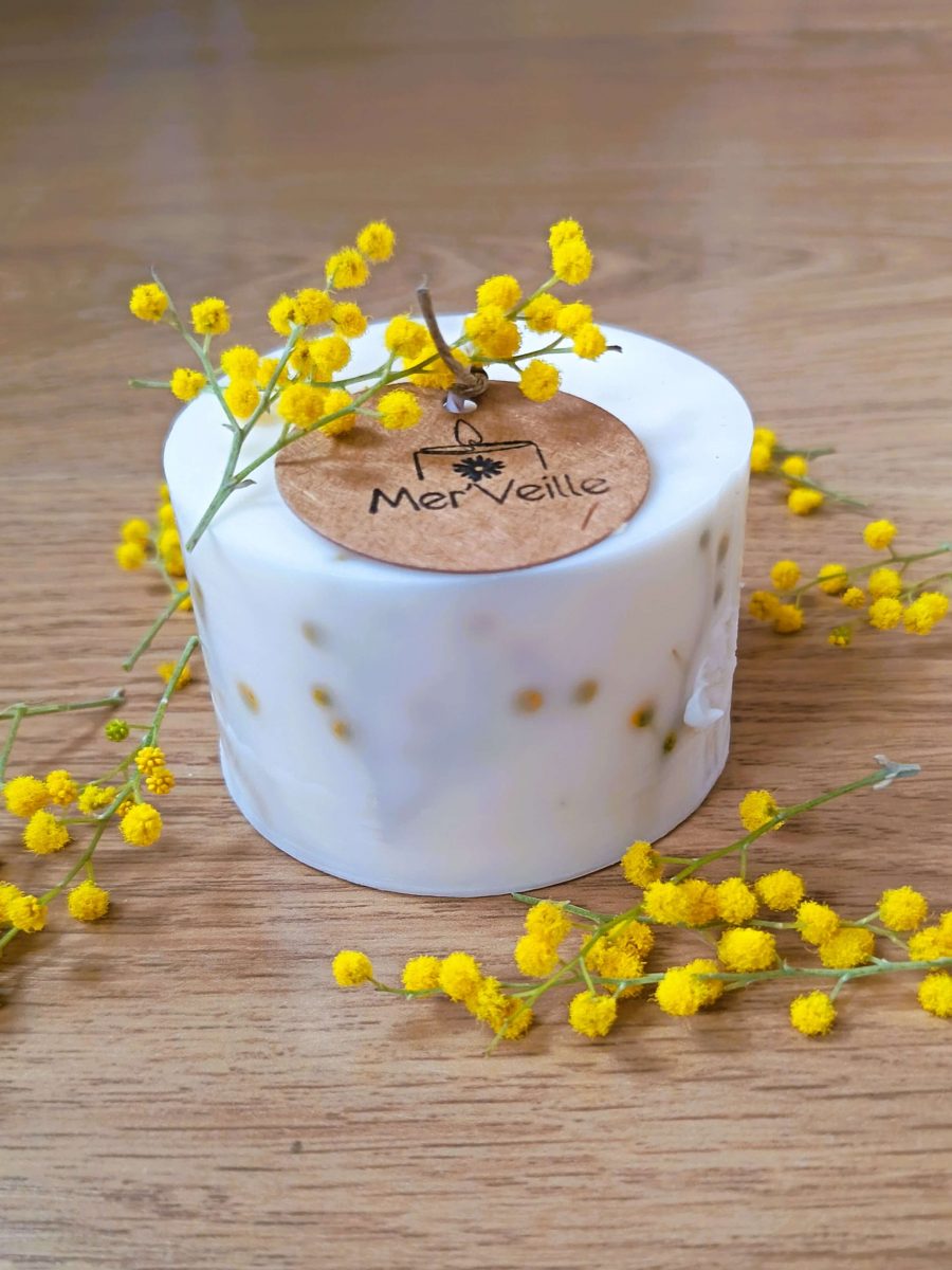 Mimosa | Comme un rêve