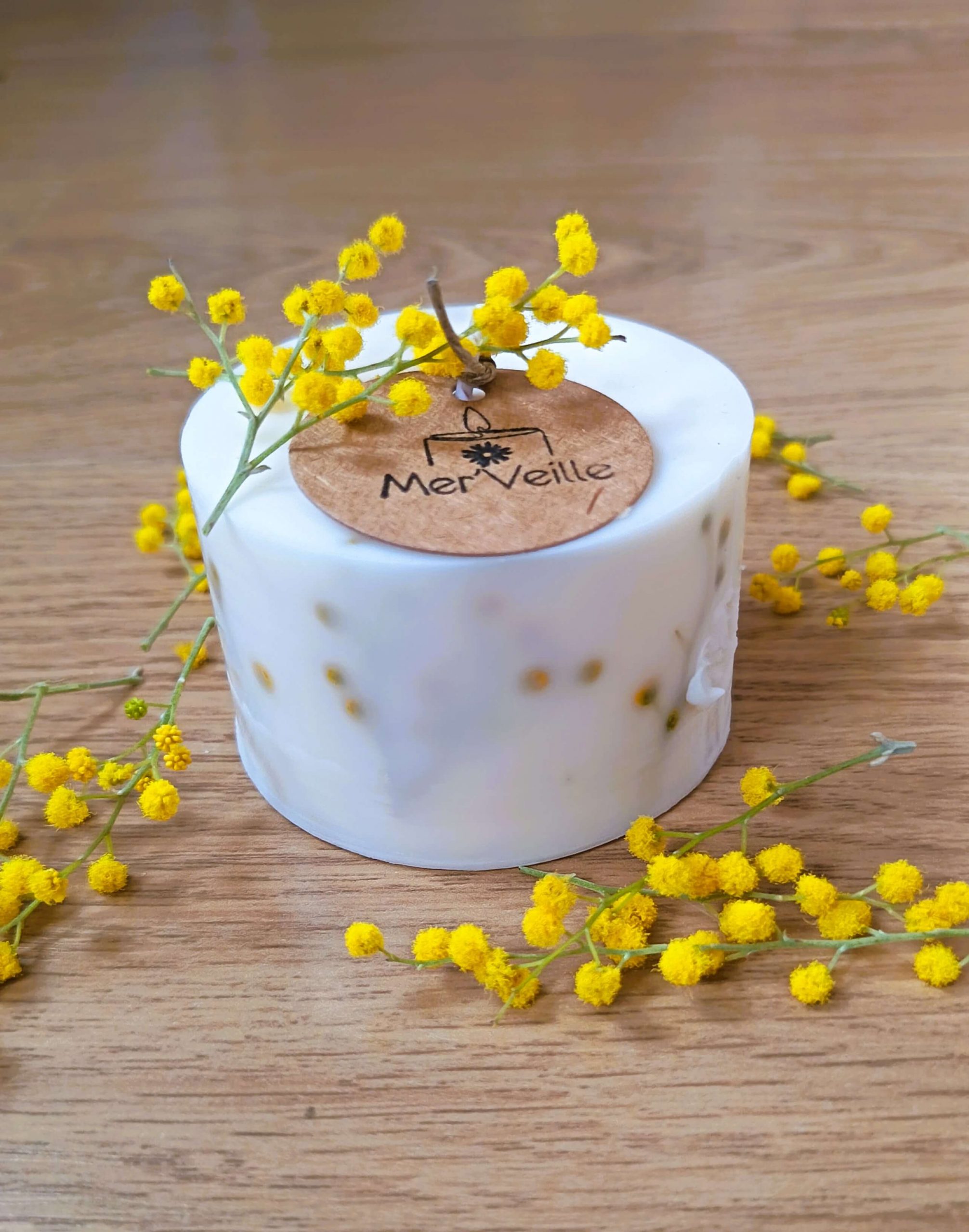 Mimosa | Comme un rêve 1 Mimosa | Comme un rêve