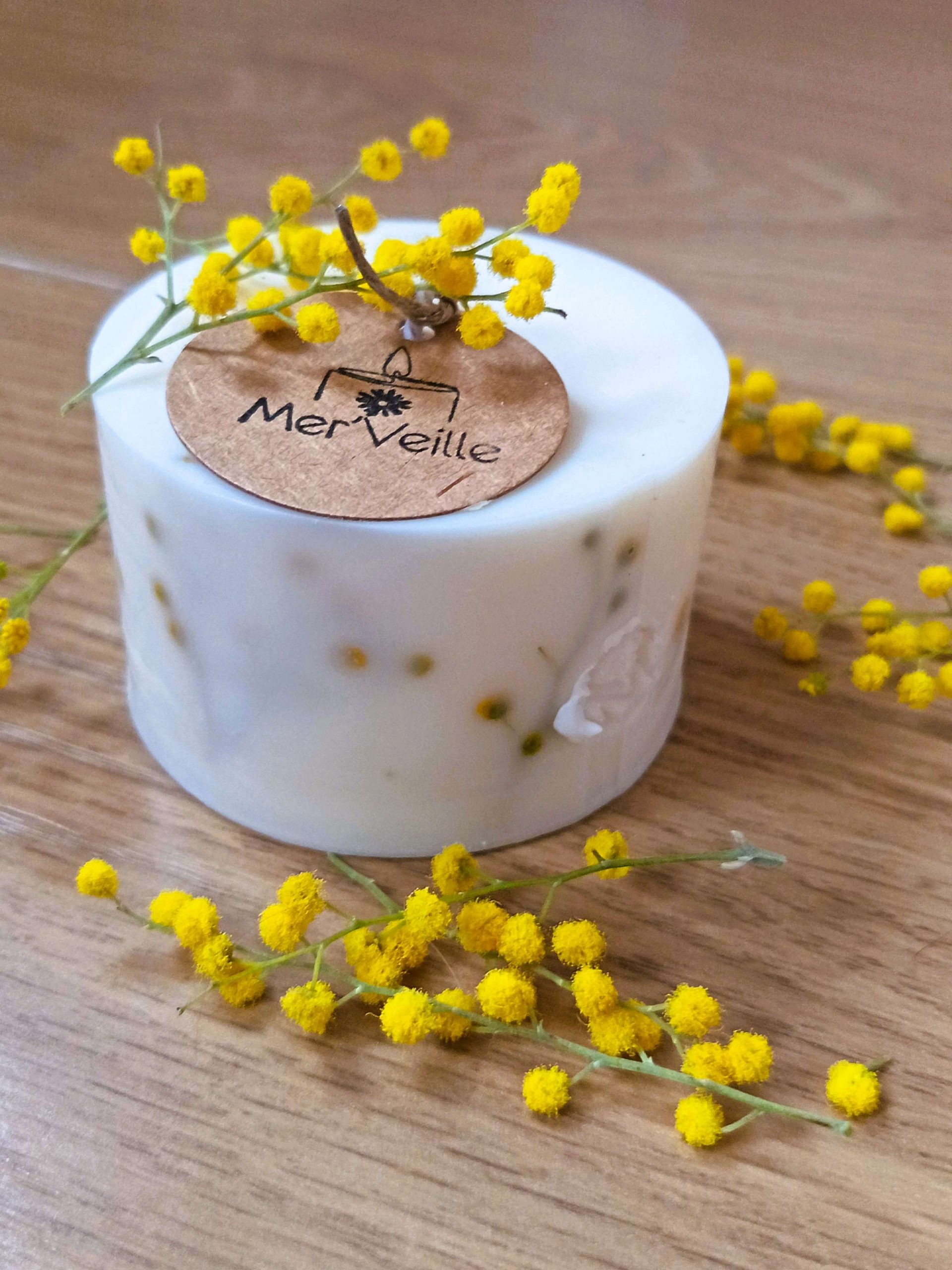 Mimosa | Comme un rêve 2 Mimosa | Comme un rêve – Image 2