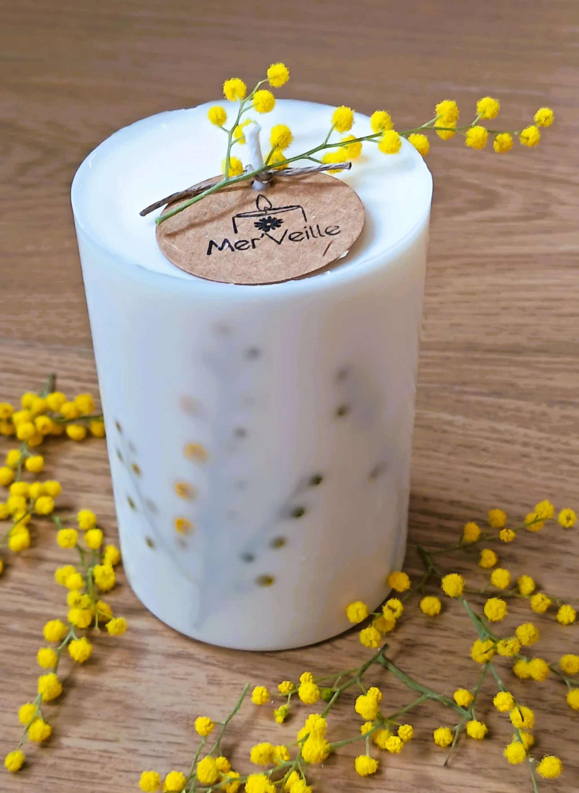 Mimosa | Instant de magie 3 Mimosa | Instant de magie – Image 3