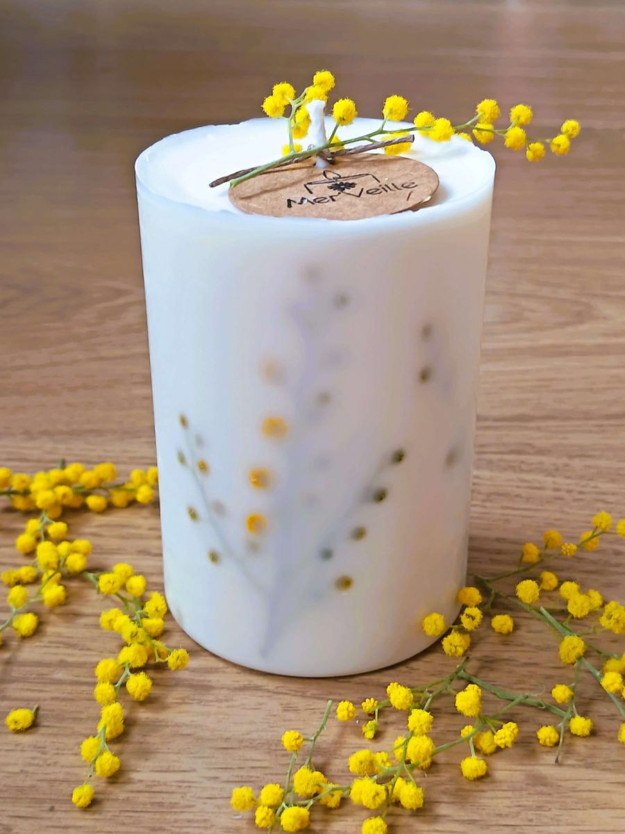 Mimosa | Instant de magie