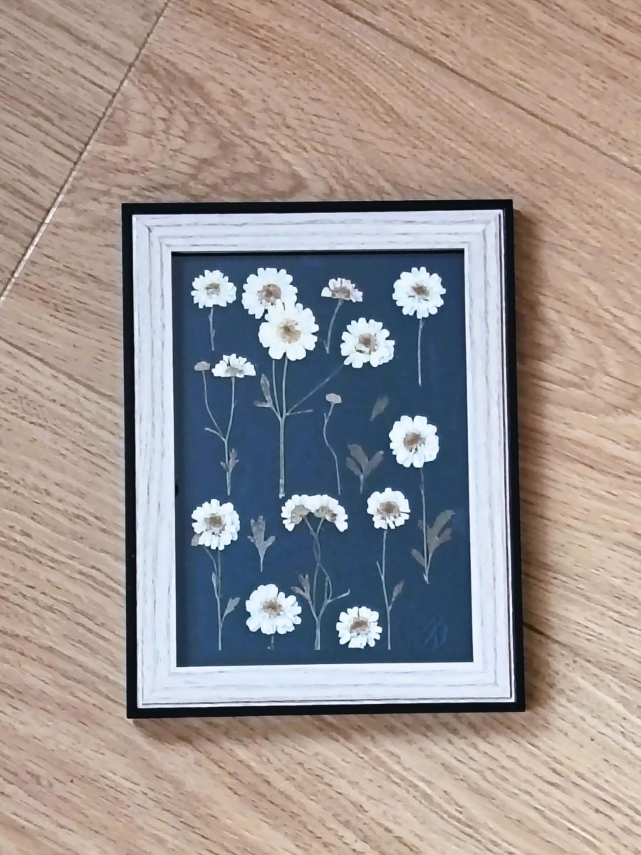 Cadre floral Mer'Veille "Jardin - Camomille"