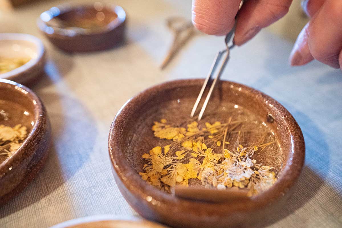 L’Atelier « Bulle Fleurie » – Image 2