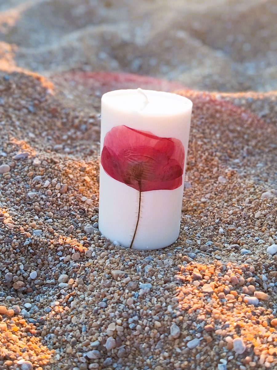Le coquelicot | Brin de nature